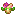Velara Omega