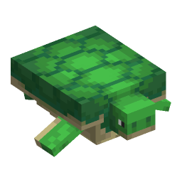 Turtle Offhand